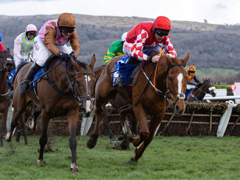 Cheltenham National Hunt Festival 2025 Hospitality Packages Events